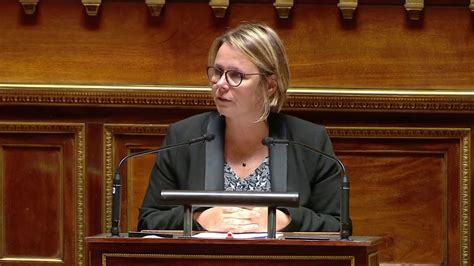 Encadrement Des Cabinets De Conseil Le S Nat Revient Lesprit De