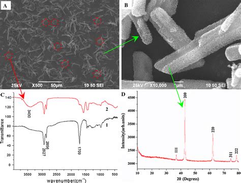 SEM A B FTIR C2 And XRD D Of The CLnA MgO 8 Dressing The