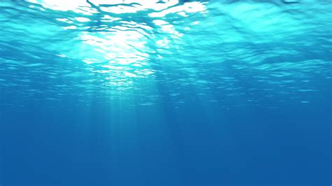 Underwater Wallpapers Top Free Underwater Backgrounds Wallpaperaccess