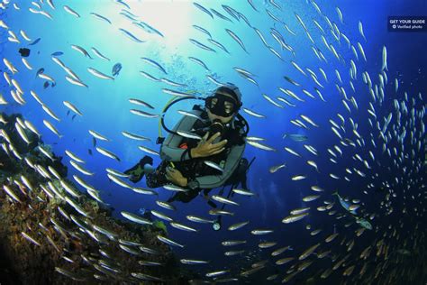 Bali Padangbai Blue Lagoon Beginners Dive Experience Paradises