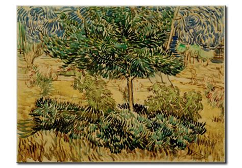 Tableau Mural Arbres Et D Arbustes Dans Le Jardin De L Asile Vincent