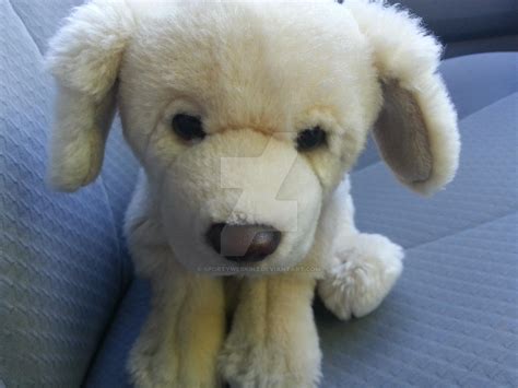 My New Webkinz Signature Golden Retriever By Sportywebkinz On Deviantart