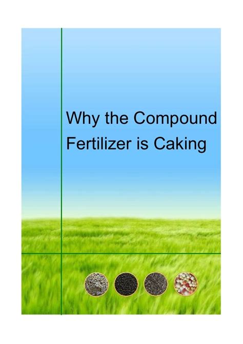 Why The Compound Fertilizer Is Caking