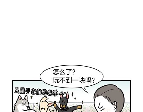 第55話 社恐狗狗12 我的狗子叫棉花 包子漫畫