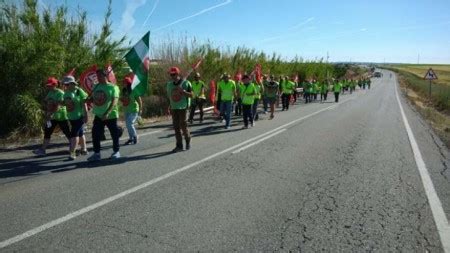 Los Trabajadores Del Campo Sevillano Inician Marcha De Protesta Y