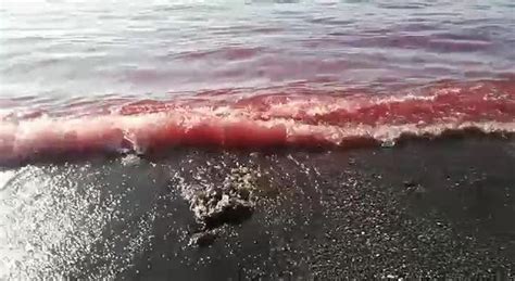 Il Mare Diventa Rosso Mistero A Napoli Est Odore Nauseabondo