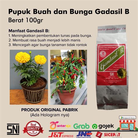 Jual Pupuk Tanaman Buah Dan Bunga Gandasil B Kemasan 100 Gram