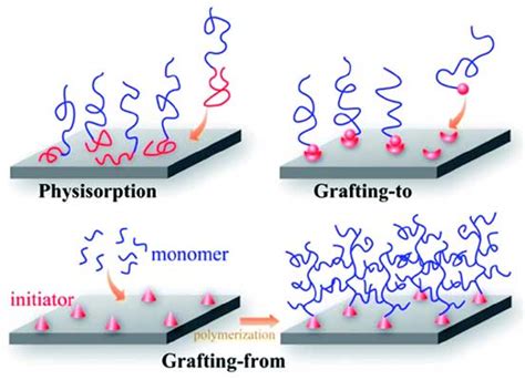 How Does Maleic Anhydride Grafting Improve The Properties Of Polymers