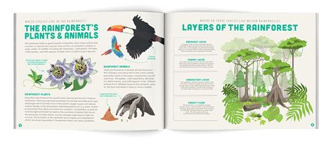 Save The Rainforest Conservation Project on Behance