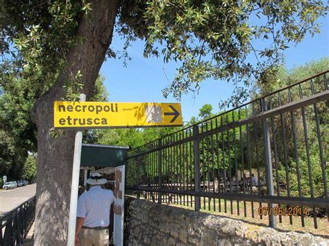 Tarquinia Abbraccia Lestate Con Le Iniziative Della Guida Turistica