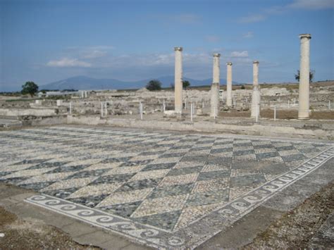 Mosaic At Pella The Capital Of Macedonia Pella Greece Photo From Nea