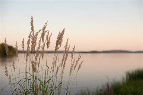 Hvad Er Bipolar Lidelse DepressionsForeningen