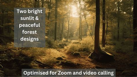 Zoom Backgrounds, Peaceful FOREST Designs, 6 Xblurred and Original ...