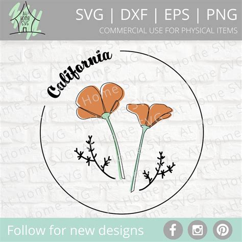 California State Flower Svg California Svg Poppy Svg Cut File For