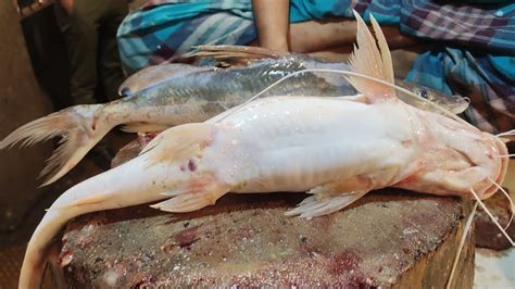 Incredible Fresh Ayer Fish Cutting Cleanning Skills In Fish Market By