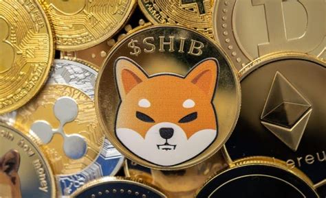 Robinhood Punta Su Shiba Inu Analisi E Scenari Futuri Finaria