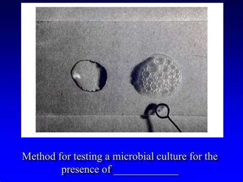 Ppt I Microbial Growth Ii Environmental Effects On Microbial Growth