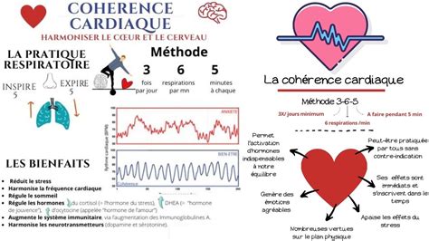 La Cohérence Cardiaque pour Harmoniser le Cœur le Cerveau YouTube