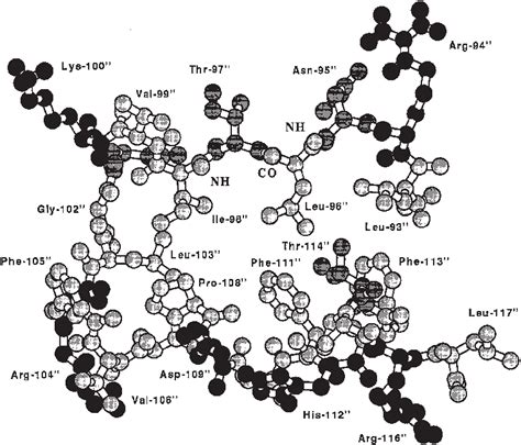 Detail Of The Lrm 2 Conformation When Bound To Hngf The Three Groups