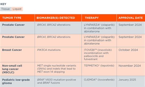 Companion Diagnostics Explained Their Critical Role In Cancer Care And