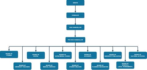 Organizational Structure - Saurashtra University-Rajkot