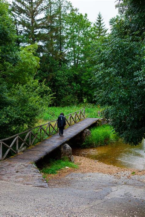 Pilgrim Walking On The Wooden Bridge Over The River Along The Camino De