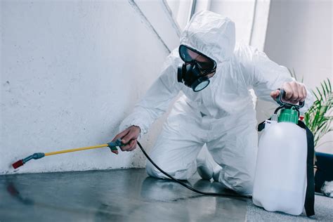 En qué se diferencian el control de plagas y la fumigación Gamsa