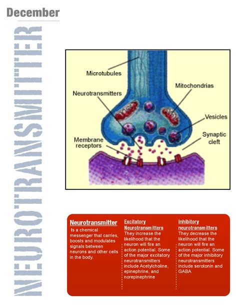 Acetylcholine 2 by Jay Anderson - Issuu