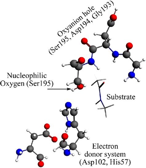 Representation Of The M Model Grey Spheres Depict Carbon Atoms White