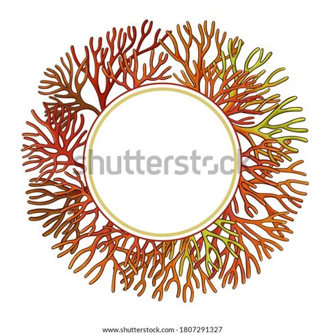 Sea Moss Frame On White Background Stock Vector Royalty Free 1807291327