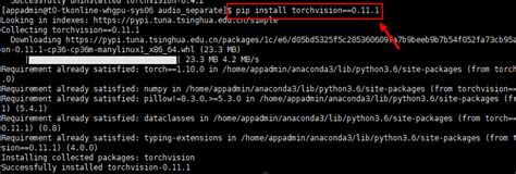 Fix Attributeerror Module Torchvision Has No Attribute Version