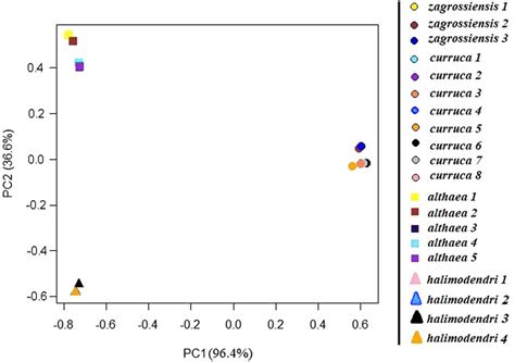 Admixture And Introgression Obscure Evolutionary Patterns In Lesser