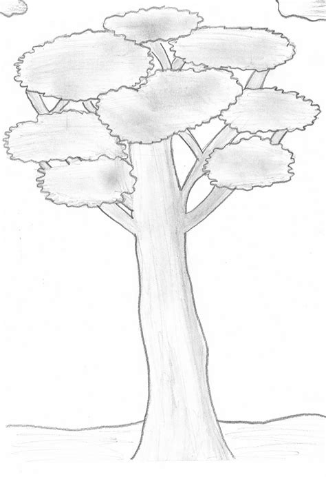 geometry  arts   trees