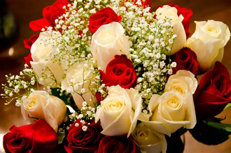 Birthday Flowers Best Wallpaper Baltana