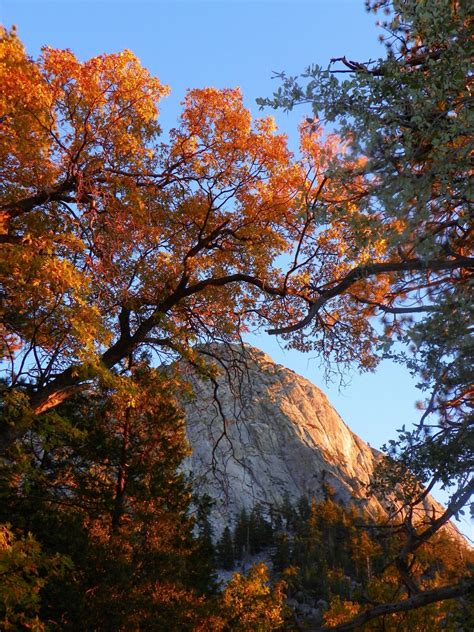 San Bernardino National Forest - National Forest Foundation