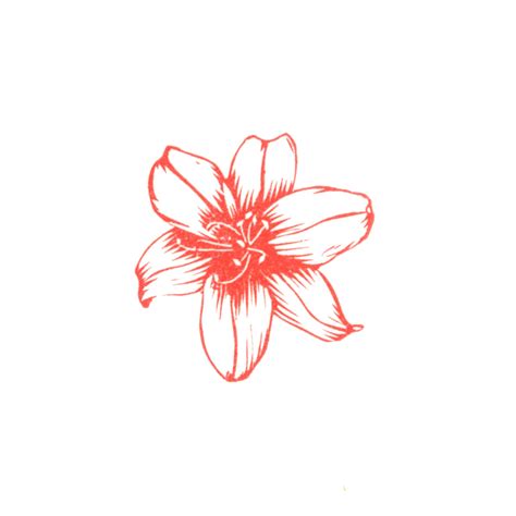 Lily Flower Stamp, Flower Stamp, Flower Stamp, 4cm Stamp, Wooden Stamp