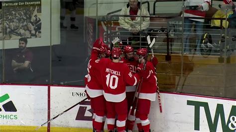 Men S Hockey Highlights Vs Cornell Jan 11 2020 YouTube