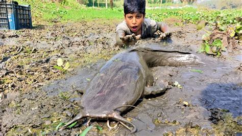 Fishing Village Catching Catfish By Hand In Mud Water Pond How To