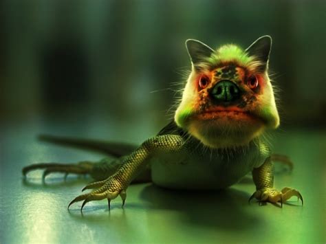 Funny Reptiles wallpaper for widescreen |Funny Animal