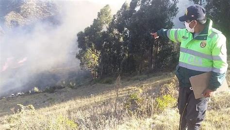 Apagan Incendio Forestal En Distrito De Huando Edicion Correo