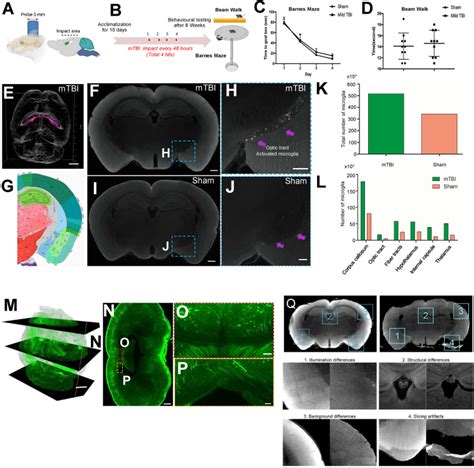 Spatial Proteomics In Three Dimensional Intact Specimens Cell