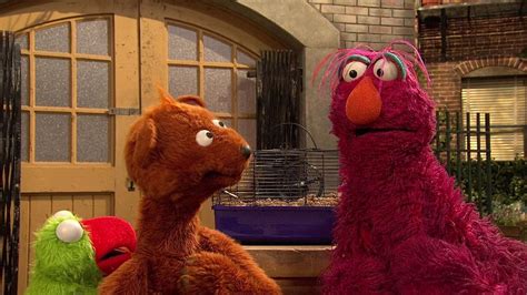 Prime Video Sesame Street Season 44