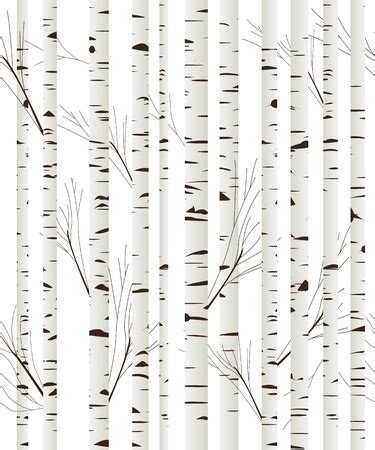 Birch Tree Trunks Wall Mural Birch Tree Wall Mural Illustration