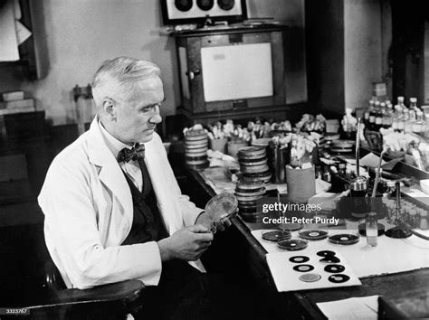 Sir Alexander Fleming , discoverer of penicillin, studies mould... News ...