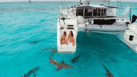 Tiger Sharks Surround Our Boat We Swim With Them 🦈 Ep197 Youtube