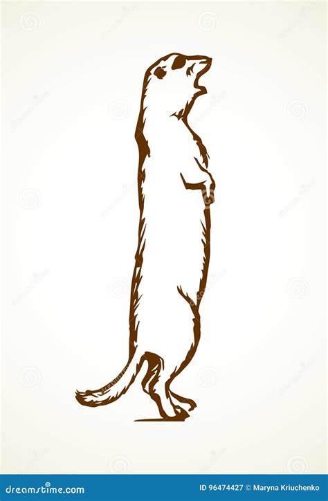 Groundhog Vector Illustration Stock Vector Illustration Of Groundhog