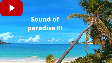 Ocean Waves On Tropical Island Ambience Sound Paradise Beach Sounds