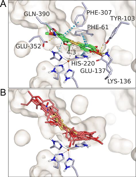 Binding Modes Of Substrates Vs Nonsubstrates A Superposition Of