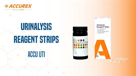 How To Test Urine At Home Accu Uti Urine Reagent Test Strips