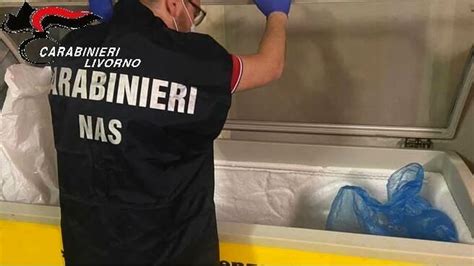 Sequestrati 22 Kg Di Alimenti Non Tracciati In Un Ristorante